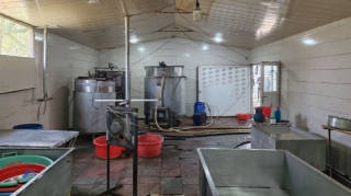 Bərdədə pendir sexində nöqsanlar aşkarlanıb - FOTO