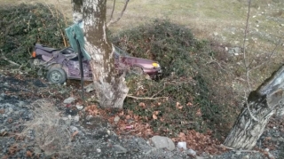 Oğuzda avtomobil ağaca çırpılıb, 2 qardaş xəsarət alıb 