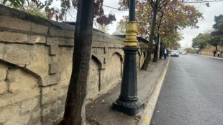 Bir metrlik səkidə həm işıq dirəyi, həm ağac, həm də təkər var, qurumlardan reaksiya yoxdur - FOTO 