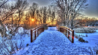 Xəzər “donur”, yağış, qar, külək gözlənilir - AÇIQLAMA 