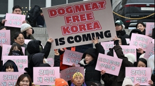 Parlament it ətini qadağan etdi 