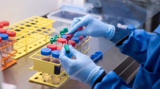 Peyvəndin hazır olması ilə bağlı sübut yoxdur