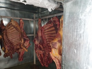 İstehlak üçün yararsız 235 kq ət məhv edildi - FOTO