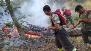 Cəlilabadda meşədə baş verən yanğın söndürülüb - FOTO