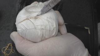 Zaqatalada narkotik satan xarici ölkə vətəndaşı həbs edilib   - FOTO