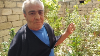 Xaçmazda narkotik bitkilər yetişdirən şəxs saxlanılıb   - FOTO