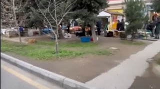 В центре Баку за 70 000 манатов продали участок полосы зеленых насаждений