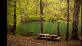 Milli parklara giriş dayandırıldı - RƏSMİ  