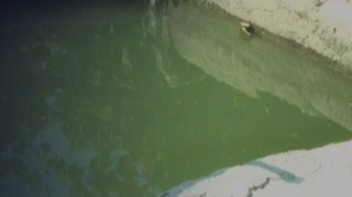 Şirvanda 5 yaşlı uşaq hovuzda boğuldu 