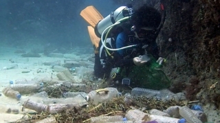 Alimlərin qorxunc proqnozu: 30 ildən sonra...