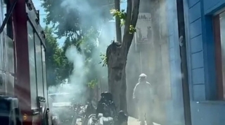 Arı sürüsü insanlara HÜCUM ETDİ  - FOTO