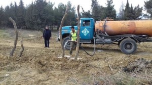 Ağaclar kəsilməyib, başqa əraziyə köçürülüb - “Yaşam Residence” - FOTO