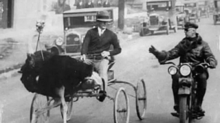 Polis sürət həddini aşan dəvəquşunu saxladı  