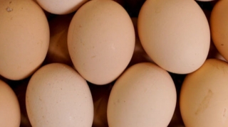 Azərbaycanda yumurta yenə bahalaşacaq? – ARAŞDIRMA 