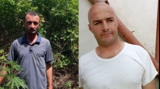 Neftçalada çətənə bitkiləri becərən qohumlar saxlanıldılar  - FOTO