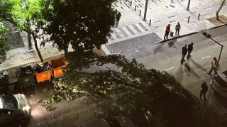Bakıda güclü külək ağacı avtomobilin üzərinə aşırdı - FOTO - VİDEO 