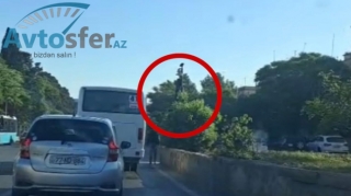 Svetofor ağacın arxasında gizlənib, nişanlar isə yoxdur - SÜRÜCÜLƏR ŞİKAYƏT EDİR - VİDEO 