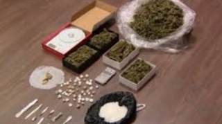 Polis 24,8 kq narkotik aşkarlayıb 