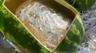 Gömrükçülər "təzə qarpız"ların  içərisindən külli miqdarda narkotik tapdılar - FOTO