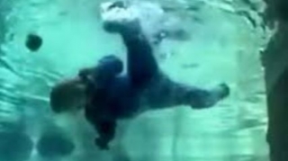 Cəlilabaddakı faciəli hadisənin TƏFƏRRÜATI:  Şəkil çəkdirmək istəyiblər ...