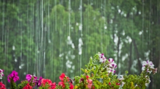 Yağış, dolu, qar... - Sabahın havası 