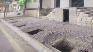 Xaçmazda şam və qovaq ağacları məhv edilib, araşdırma aparılır - FOTO 