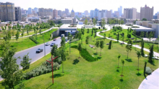 Azərbaycanda “uçan pələnglər” yayıla bilər – Əhali narahatdır 