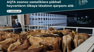 Bu heyvanların Azərbaycana idxalının qarşısı alındı 