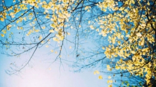 Şənbə gününün hava proqnozu AÇIQLANDI 