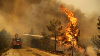 Türkiyədə meşə yanğınları ilə bağlı son məlumatlar açıqlanıb
