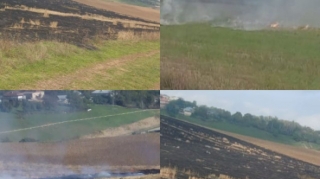 Qusarda əkin sahələrini yandıranlar saxlanıldı 