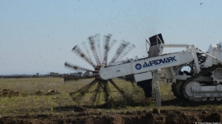 Ağdamın 5 kəndi minalardan tam təmizlənib