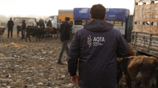 Heyvan bazarında monitorinq aparılıb - Nöqsanlar aşkarlandı - FOTO