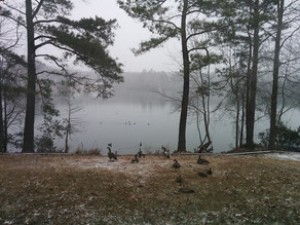 Növbəti 2 gündə müşahidə olunacaq hava proqnozu açıqlanıb