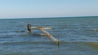 Qanunsuz balıq ovlayan şəxs cəzalandırıldı 
