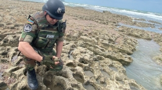 Bakıda dəniz sahilində əl qumbarası aşkarlanıb  - VİDEO