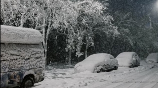 Güclü qar Cəlilabad–Yardımlı yolunda hərəkəti çətinləşdirdi – VİDEO 