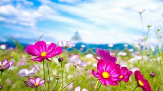 Sabahın hava proqnozu açıqlanıb