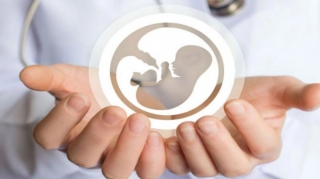 "Bacı-qardaşlar bilmədən evlənə bilər" – Ekspertdən "hind filmi" xəbərdarlığı 