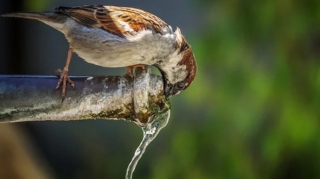 Üç gün sonra ilk çərşənbəni qeyd edəcəyik 
