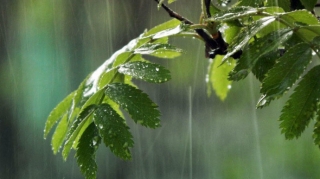 Yağıntılar intensivləşəcək, şimşək çaxacaq, dolu düşəcək - XƏBƏRDARLIQ 