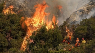 Cəlilabadda ovçuluq təsərrüfatı ərazisində yanğın başladı   - YENİLƏNİB