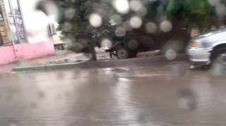 Gəncədə həyətləri su basdı, elektrik kəsildi - FOTO - VİDEO