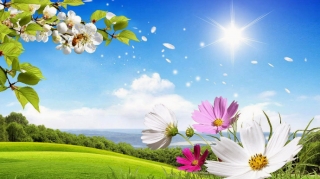 Sabahın hava proqnozu açıqlanıb