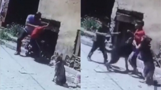 Əlil uşağı dəcəllik etdiyi bəhanəsiylə itlərin qabağına atdı  - VİDEO