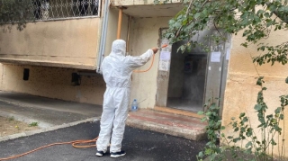 Bakıda Ağ Amerika kəpənəklərinə qarşı profilaktika işləri davam edir - FOTOLAR 