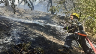 FHN  Bakıda ağaclıq ərazidə baş verən yanğınla bağlı məlumat yayıb - VİDEO - FOTO