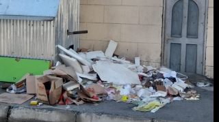 Qəbələdə ətraf mühiti çirkləndirənlər cərimələnib