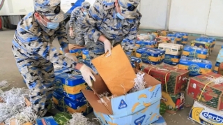 Gömrükdə böyük narkotik əməliyyatı; 110 kiloqramdan çox marixuana aşkarlandı - VİDEO 