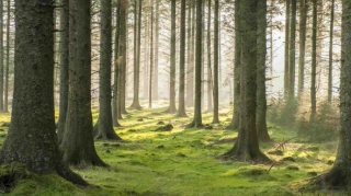 Sabah rayonlarda 36 dərəcə isti olacaq 